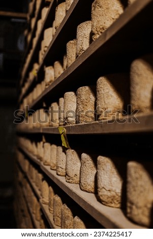 The Castelmagno is the King of Cheeses. This picture comes from the caves of one of the highest producers on the piedmont Alps, at 1700 meters heigh. Possibly, the best Castelmagno at all.