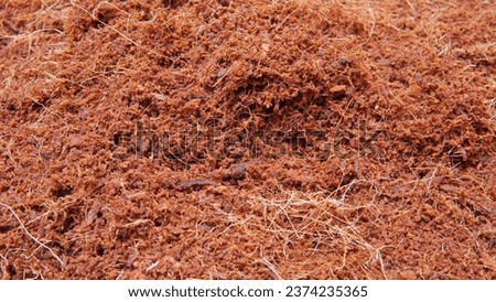 texture background from cocopeat. Cocopeat is a planting medium made from coconut fiber Royalty-Free Stock Photo #2374235365
