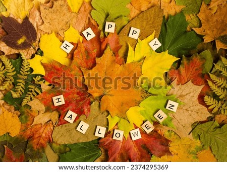 On a background of bright, beautiful autumn leaves, wooden cubes with the text Happy Halloween, flat lay top view, desktop wallpaper.  Halloween holiday concept.
