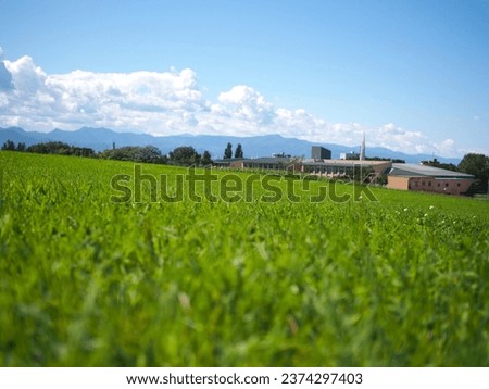 An image of an open field of grass contrasted with a background of a blue sky. For use in illustrations Background image or copy space Sapporo clock Tower