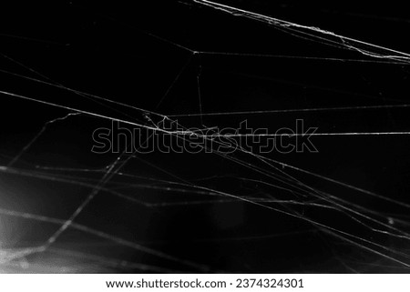 Close up of spiderweb on black background. Cobweb spider messy asymetrical web isolated. Black and white graphic.