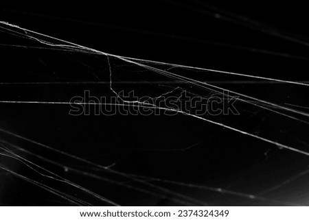 Close up of spiderweb on black background. Cobweb spider messy asymetrical web isolated. Black and white graphic. Royalty-Free Stock Photo #2374324349