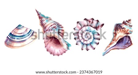 A set of seashells and stars. Watercolor illustration. Marine animals. Inhabitants of the depths of the sea.
