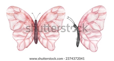 Watercolor pink buttrefly illustration set, moth clipart, insect clip art