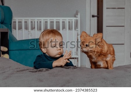 Funny cute kid with red dog at home. High quality photo