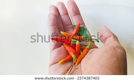 A picture of chili on the palm of your hand
