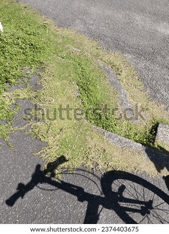 A daytime scene where the shadow of a folding bicycle falls on the asphalt and weeds.