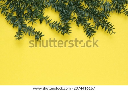 Green spruce branch on yellow background with copy space. Christmas tree decoration. New year, winter holiday card. Fir, pine twig. Promotion of the poster sale or percent discount in the store