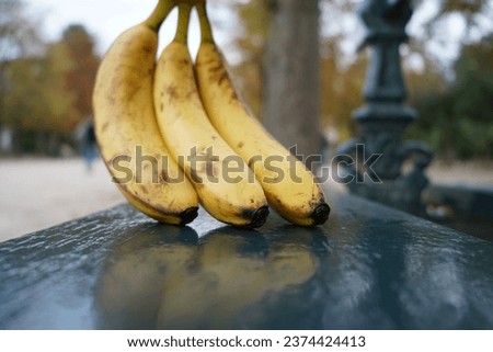 bunch of bananas on a bench in the Luxembourg's Garden in Paris