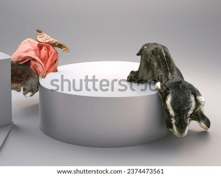 How is the baby goat sitting in the picture.The baby goat in the picture is generated by.Pictured is a newborn baby goat.The color of the child is black and the face is.The downward posture of the bab
