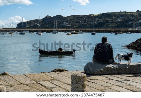 Irish idyll - man walking the dog on the harbor. Seascape with yachts and fishing boats