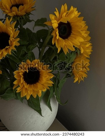 Aesthetic picture of a sunflower bouquet