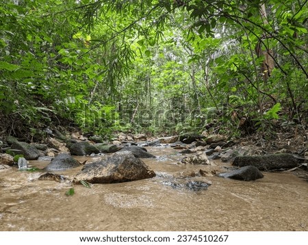 
"NATURAL FOREST". The picture shows the atmosphere of a natural reserve forest, unexplored and polluted. It is also decorated with verdant tree life, the soothing sound of water, the fresh air.