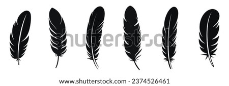 Feather Set icon, logo isolated on white background. Vector illustration