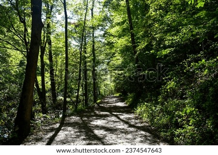 Walkway Trail at Deep Creek Park in Bryson City, North Carolina Royalty-Free Stock Photo #2374547643