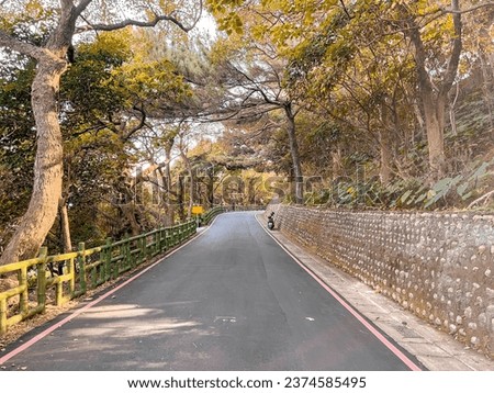 Vehicle asphalt road pathway surrounded by big trees shunned by sunrays leaving shades and fences with red lines - landscape horizontal