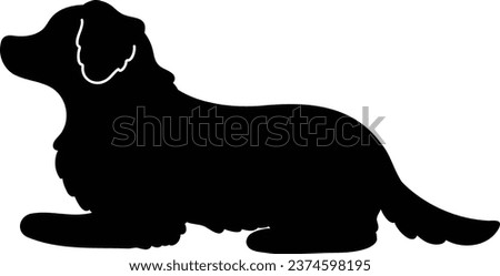 Simple and adorable Border Collie lying down silhouette