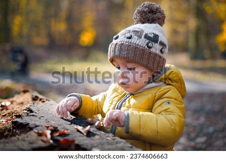 Adorable little baby boy playing in the autumn park