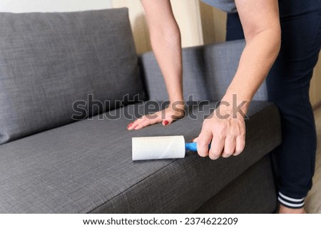 A young housewife collects animal hair from furniture with a brush.