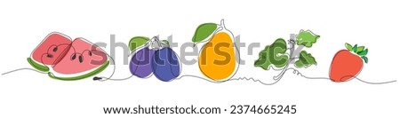 Vector colored fruits and berries in graphic set