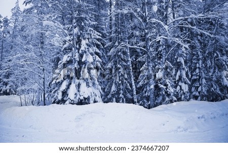 Beautiful winter picture with snow and ice covered leaves and cold and stunning suitable for background