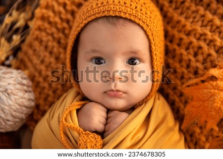 Autumn portrait of newborn baby girl swaddled in orange wrap, season holiday and childhood memories concept - Image