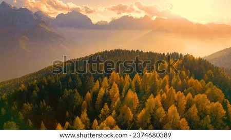 AERIAL: Mesmerizing view of high mountains and golden larch trees at sunset. Breathtaking mountain scenery with majestic peaks above valley shrouded in gentle mist at the end of a sunny autumn day. Royalty-Free Stock Photo #2374680389