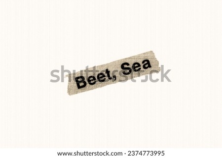 Sea beet in English vocabulary language heading and word title and meaning with reference to British wildlife and countryside in sepia