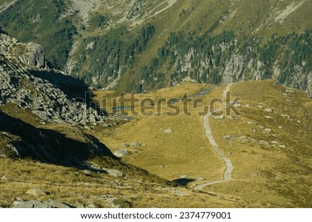 Beautiful valley with stream in the Zillertal alps, Alto Adige, Italy