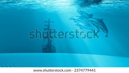 Silhouette of old abandoned shipwreck sea or ocean bottom with dolphin