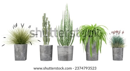Transparent Greenery, High-Quality Plant Cut-Outs, Stunning Cut-Out Plant Images transparency backgrounds for illustration, digital composition and architecture visualization