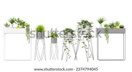 Transparent Botany; High-Quality Plant Cut-Outs, 3D rendering, for illustration, digital composition and architecture visualization