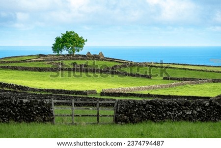 Typical landscape of Terceira Island in Azores. Rural landscape.  Royalty-Free Stock Photo #2374794487