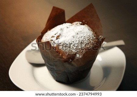 A picture of a chocolate muffin covered with icing sugar and served on a white plate