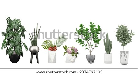 Set of Transparent Botany, Green and Serene, High-Quality Plant Cut-Outs, Green and Serene, Beautiful Transparent Plant Cut-Outs, 3D rendering, for illustration, digital composition and architecture 
