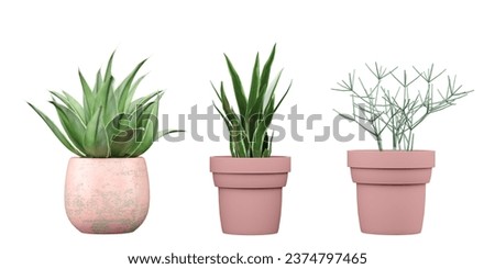 Set of Transparent Plant Cut-Outs with pink pot Cutting-Edge Greenery