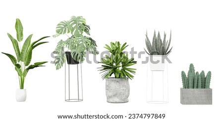 Set of Transparent Botany, High-Quality Plant Cut-Outs, Greenery Without Limits, 3D rendering, for illustration, digital composition and architecture visualization