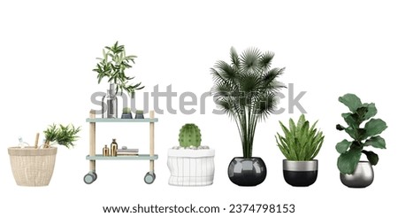 Set of Transparent Botany, High-Quality Plant Cut-Outs, Green and Serene, Beautiful Transparent Plant Cut-Outs, 3D rendering, for illustration, digital composition and architecture visualization