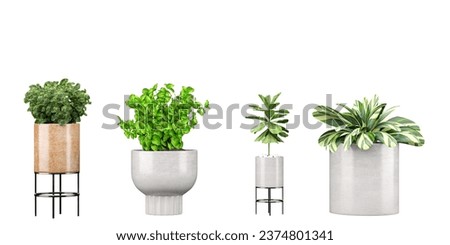 Set of High-Quality Transparent Plant Cut-Outs transparency backgrounds illustration png