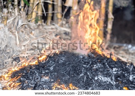 Flames from dry bamboo leaf waste