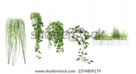 Set of beautiful plants hanging in ceramic pots isolated on transparent background, 3D rendering, for illustration, digital composition and architecture visualization