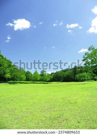 Early summer grassland and forest scenery in the 21st century forest and plaza Royalty-Free Stock Photo #2374809653