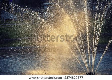 Water fountain in a spring sunny public park, natural seasonal background