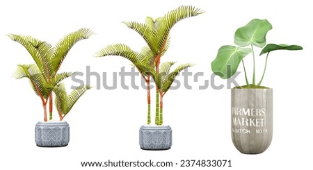 Plant Life on the Go, Portable Transparent Plant Cut-Outs for illustration, digital composition and architecture visualization