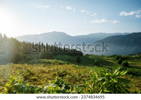 Beautiful landscape with mountains, grass and a valley at sunset with blue sky and clouds. View of the valley in Adjara, Georgia.