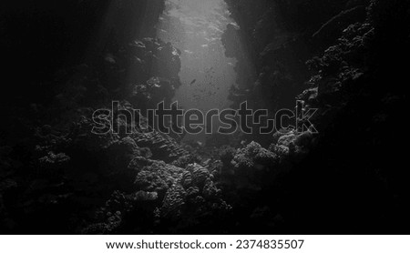 Underwater photo of a gate at coral reef. From a scuba dive.