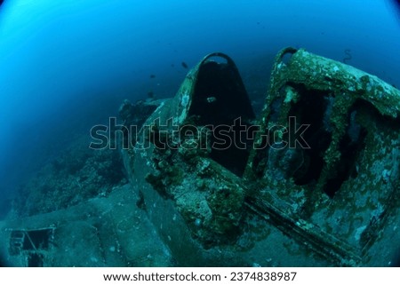 This well-preserved Hellcat aircraft wreck stands out as one of the Solomon Islands' most easily reachable airplane wrecks.