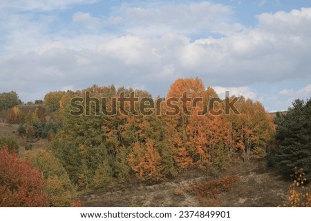 Colorful Trees in Autumn Season.artvin