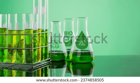Algae fuel biofuel industry lab researching for bio-aviation fuel (BAF) to be a sustainable aviation fuel (SAF) Royalty-Free Stock Photo #2374858505