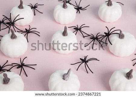  white mini pumpkins aligned symmetrically in rows and columns in the middle of a spider infestation on a pastel pink background. Minimalist, trendy still life photography. 